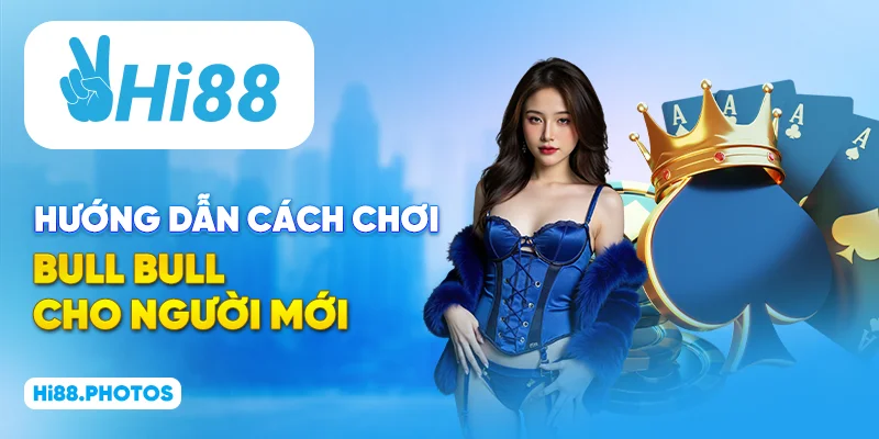 Hướng dẫn cách chơi Bull Bull cho người mới